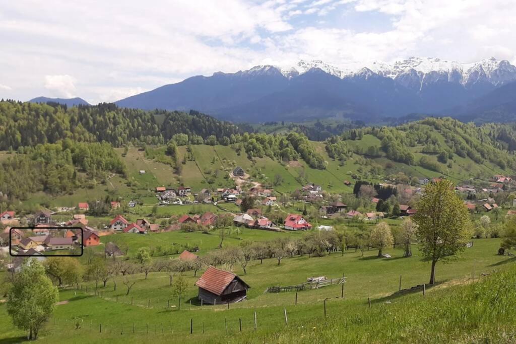 Casa In Curte La Zavate Bran (Brasov) Exterior foto